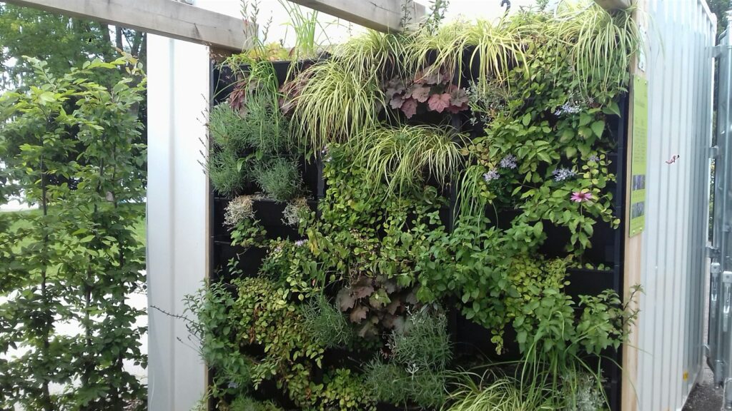 Hausfassade begrünen hat viele Vorteile: Bild zeigt Pflanzenwand mit Pflanzen, die sich für Fassadenbegrünung eignen