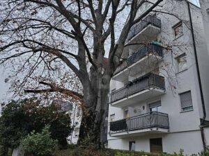 image-59967788