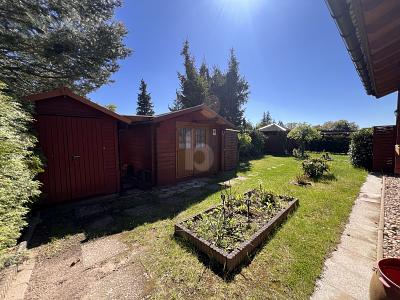 image-67035296