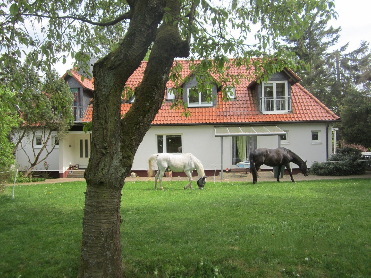 Bild der Immobilie in Schwarzenborn Nr. 1