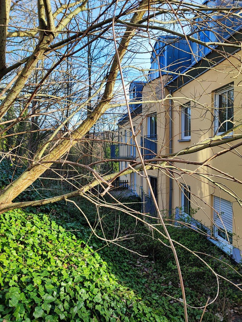 Bild der Immobilie in Burkhardtsdorf Nr. 2