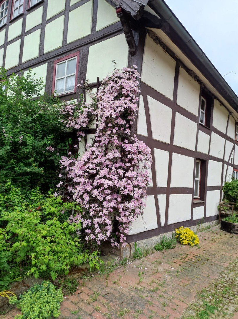 Bild der Immobilie in Hessisch Oldendorf Nr. 5
