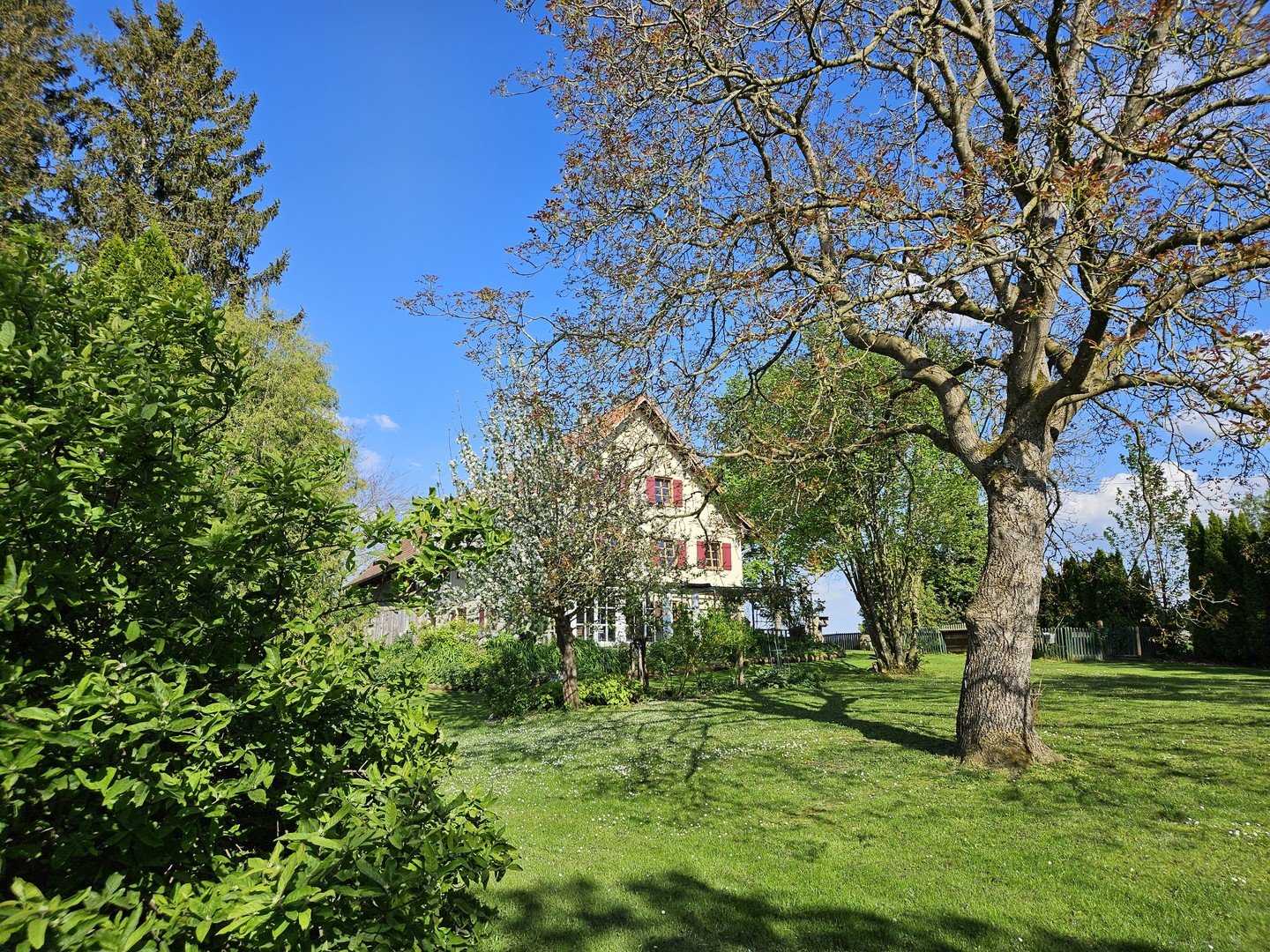 Bild der Immobilie in Niederrieden Nr. 1