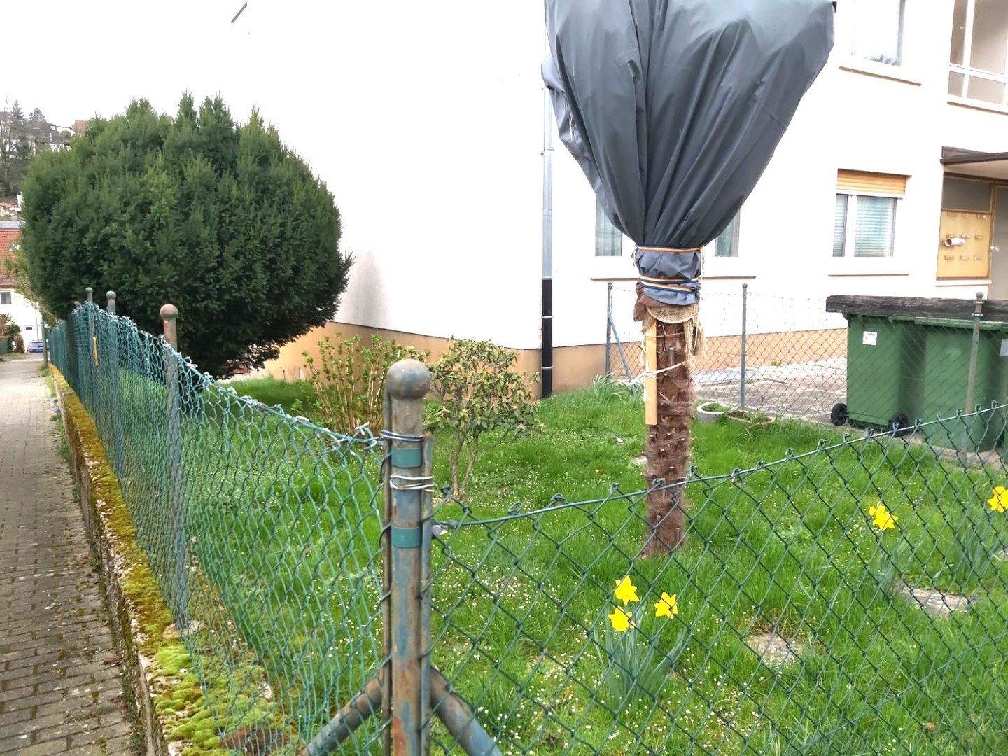 Bild 12