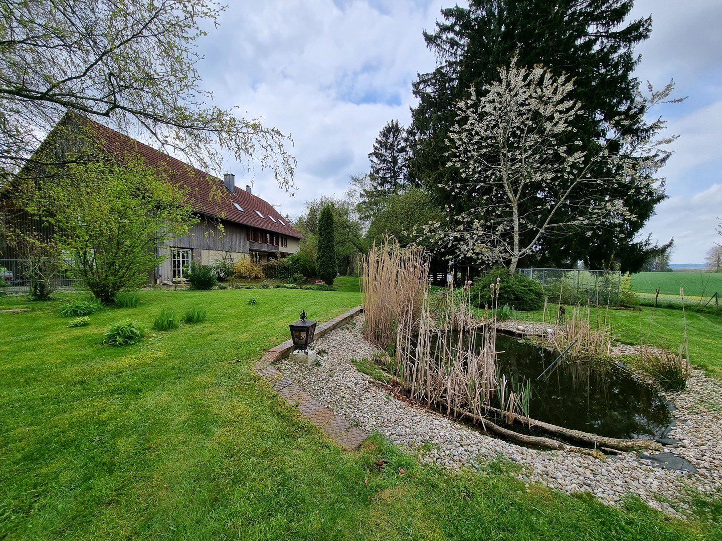 Bild 12