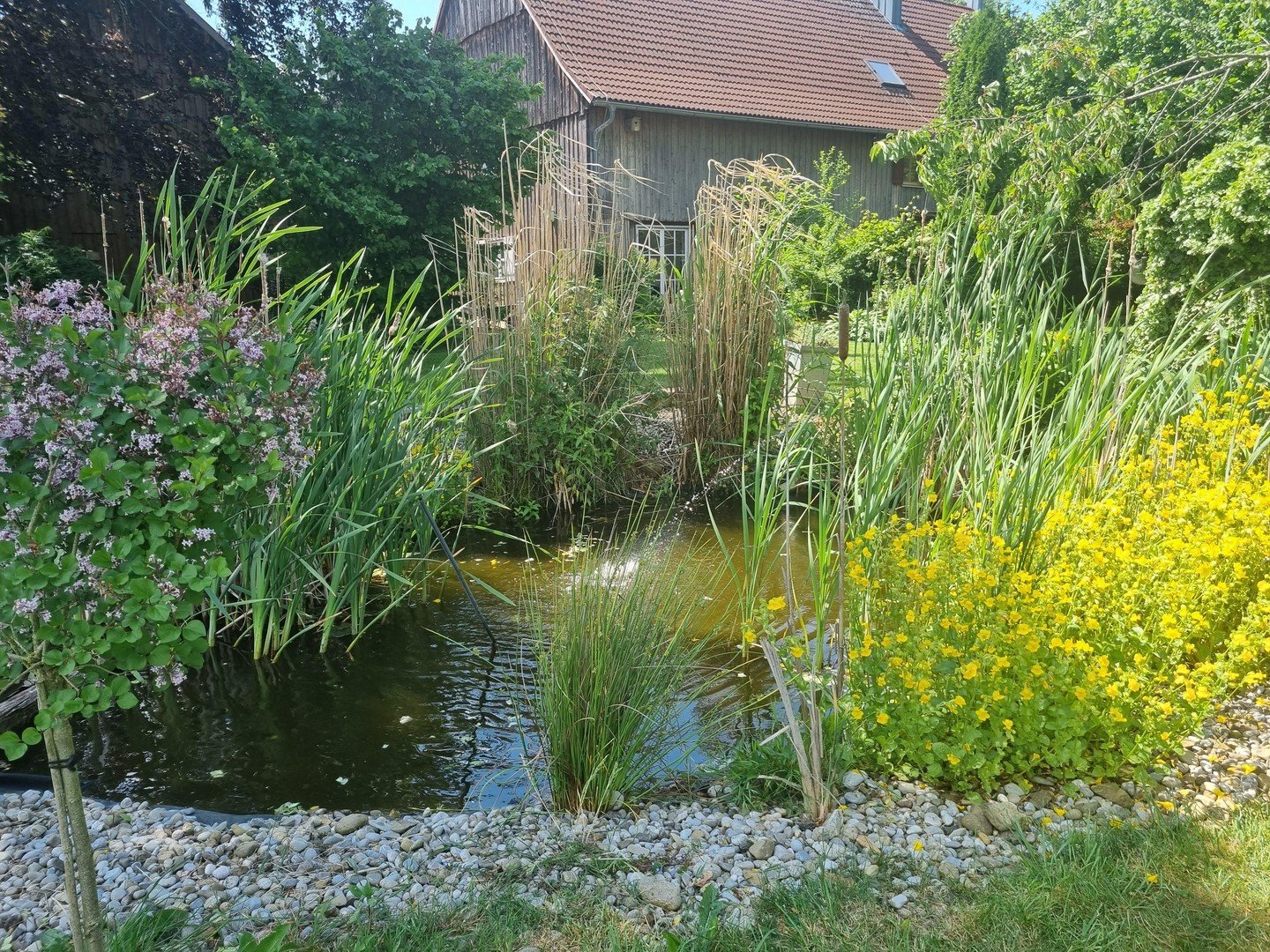 Bild 20