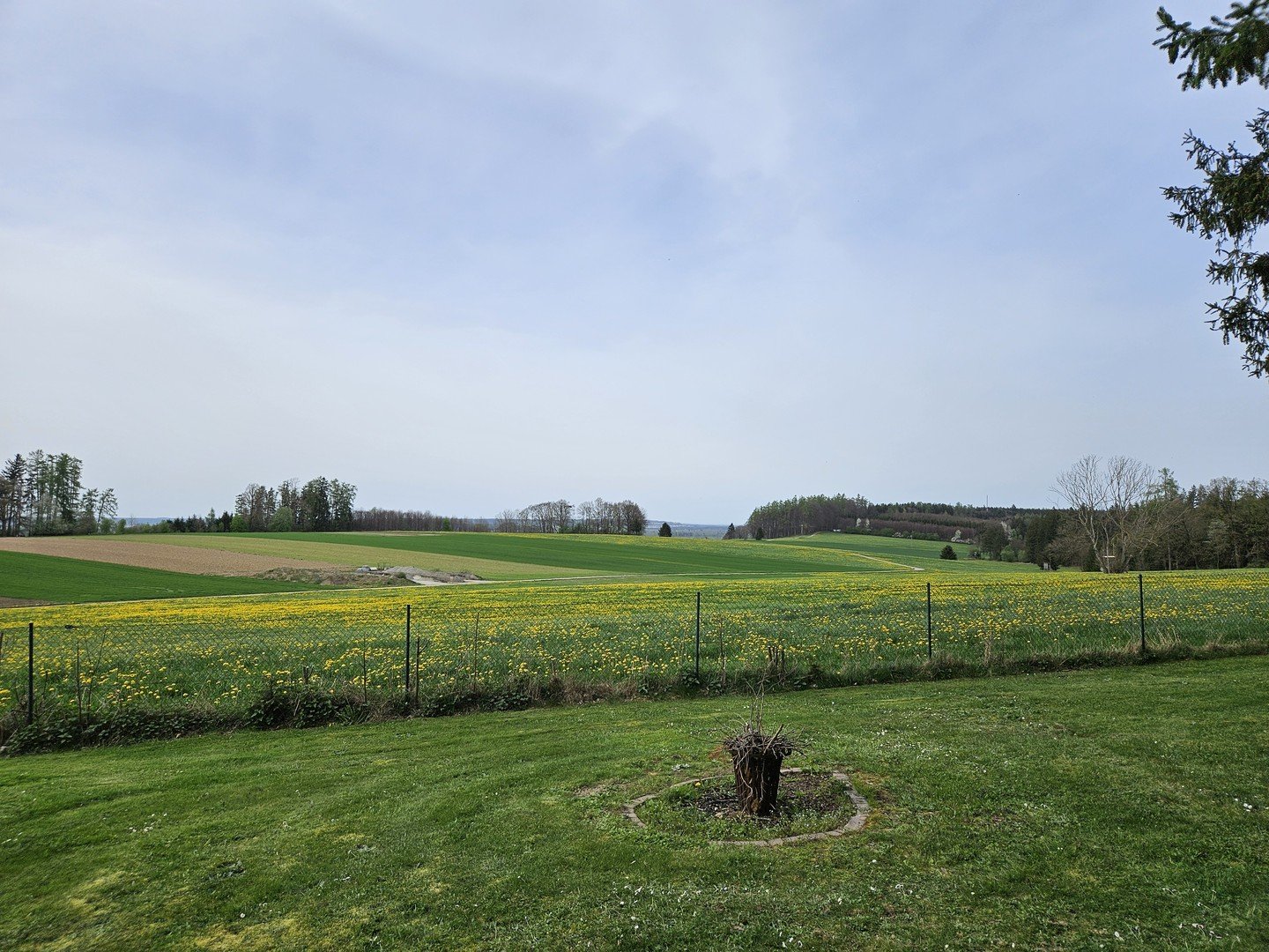 Bild 15