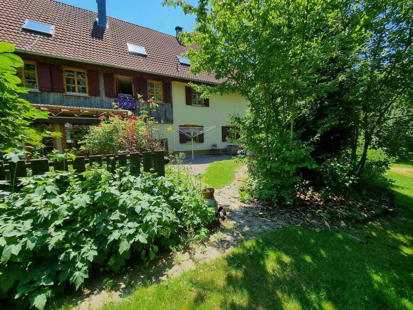 Bild 11