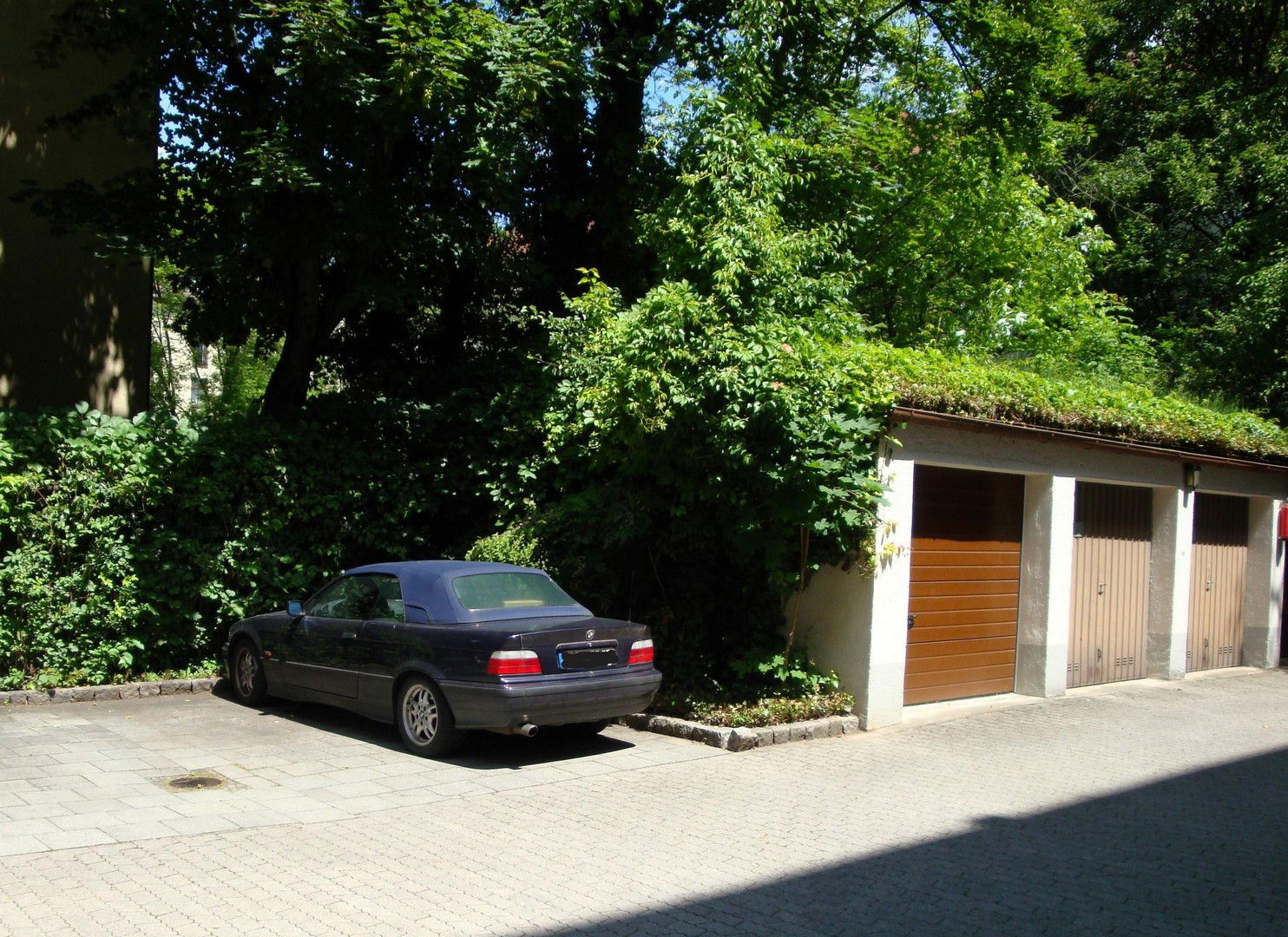 Bild 19