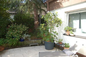 image-47318701