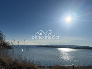image-53074452