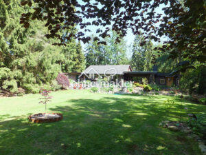 image-53741199