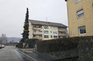image-55245508