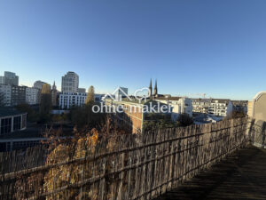 image-55377772