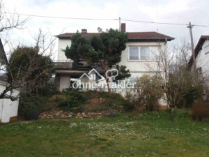image-55585050