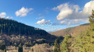 image-55830381