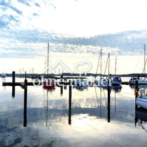image-54942419