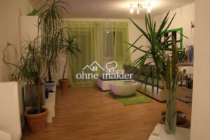 image-57442671