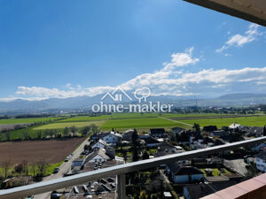 image-57577290