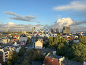 image-57859551