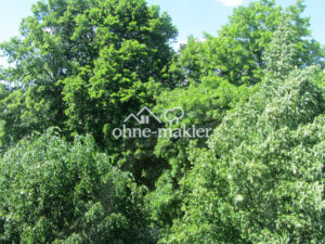image-58108776