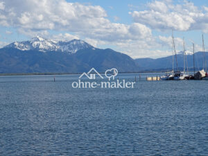 image-58255642