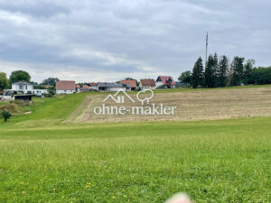 image-58389252