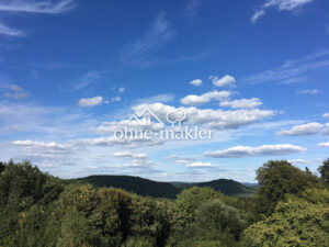 image-58912647