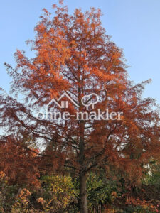 image-59449100