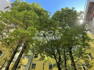 image-59743074