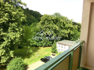 image-55490518