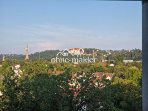 image-60273033