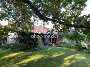 image-60335545