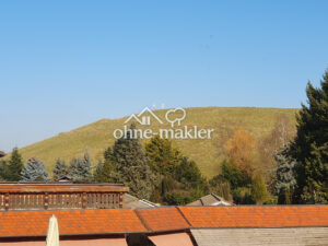 image-60335548