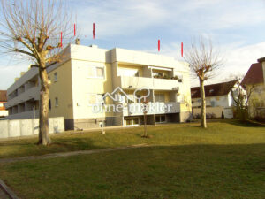 image-60387627