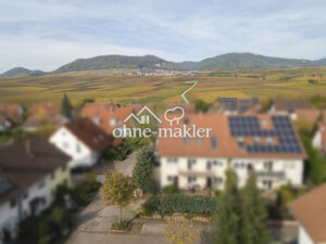 image-61023273
