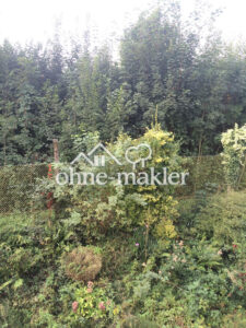 image-61141352