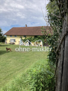 image-61141595