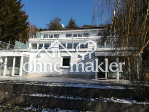 image-61309100