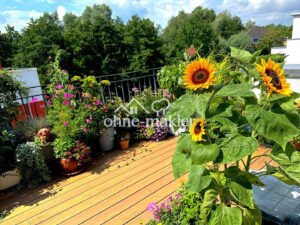 image-61343486