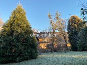 image-61995024