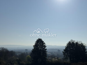 image-62504911