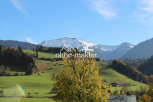 image-47329972