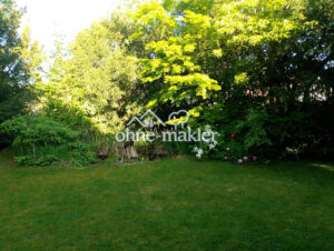 image-62844054