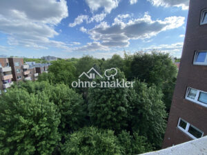 image-63881321
