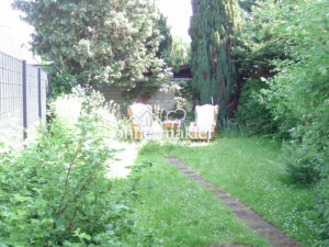 image-64393213