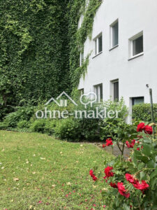 image-64396849