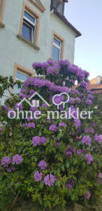 image-64428473