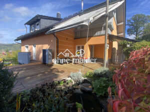 image-64541291