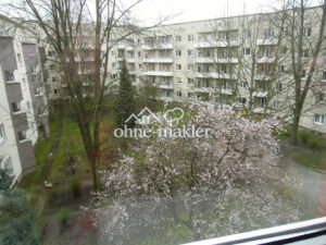 image-64597598